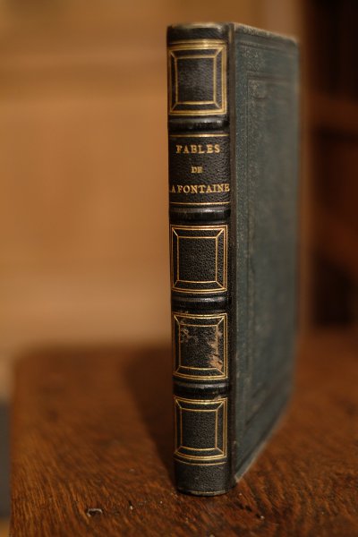  - Fables de la Fontaine edition Illustrée oar J. David, T. Johannot, v. Asam, F. Grenier et schaal Paris Morizot Editeur, Henri Plon Editeur