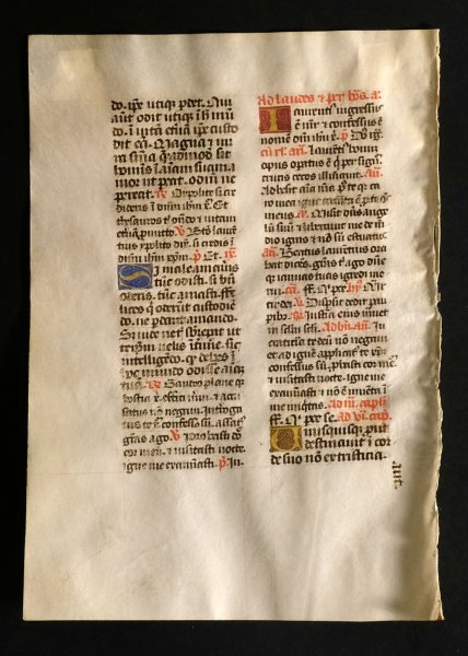 - Printed leaf on vellum book of Hours from the late 15th century (framed)