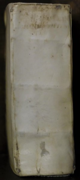 Johann Andreas Coppenstein - R.P.F. Io. Andreae Coppenstein Mandalensis Ord. Praedicatorum theologi De Fraternitatis SSmi Rosarij B. Virginis Mariae ortu, progressu, statu atque praecellentia libri tres. In gratiam Cultorum Deiparæ Virginis Mariæ, Materia nunc primum, vt nunquam ante, absolute pertractata.