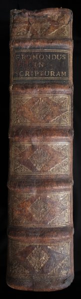 Libert Froidmont - Commentaria in omnes B. Pauli apostoli, et septem canonicas aliorum apostolorum epistolas.